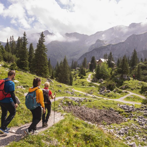 Montafoner AlpkulTour Weg (c) Stefan Kothner - Montafon Tourismus